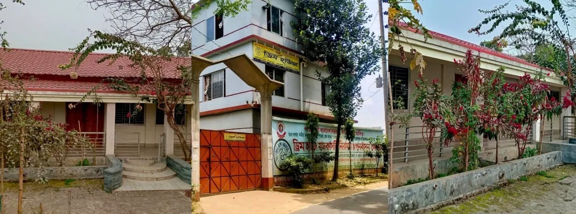 Dream House Drug Addiction Treatment Center