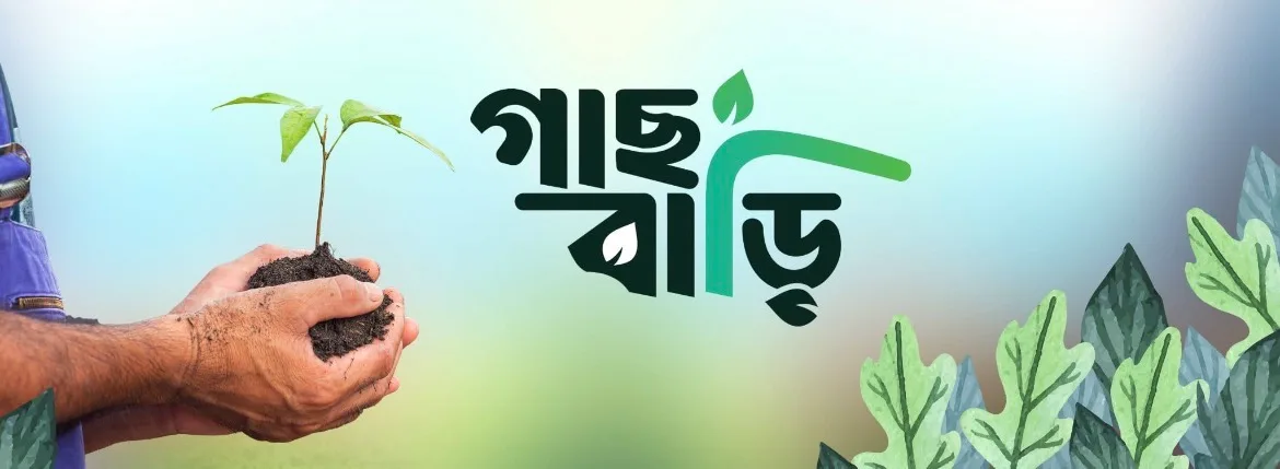 গাছ বাড়ি 