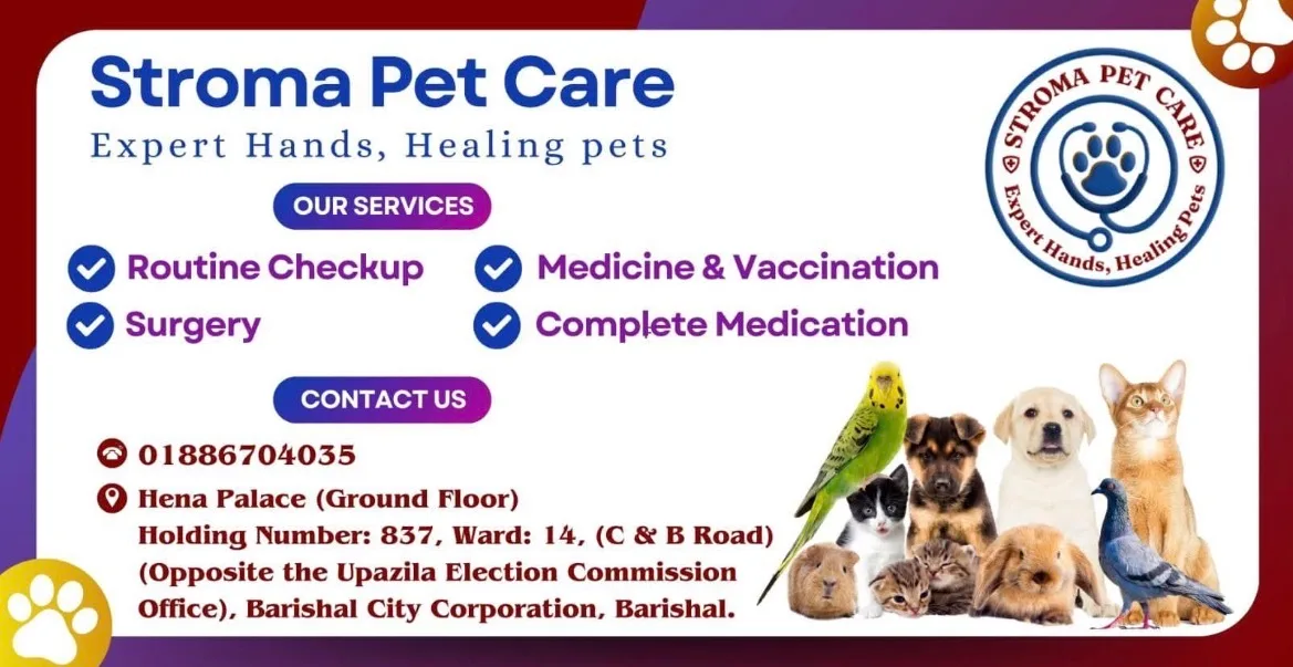 Stroma Pet Care
