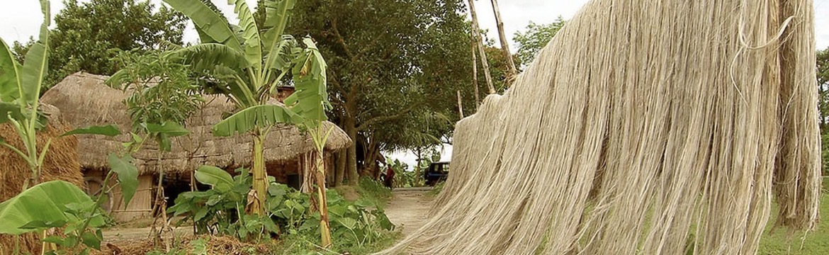 Jute Crafty