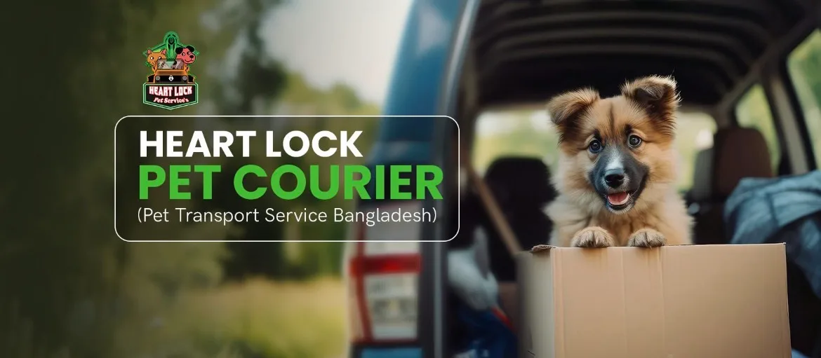 Heart Lock Pet Courier