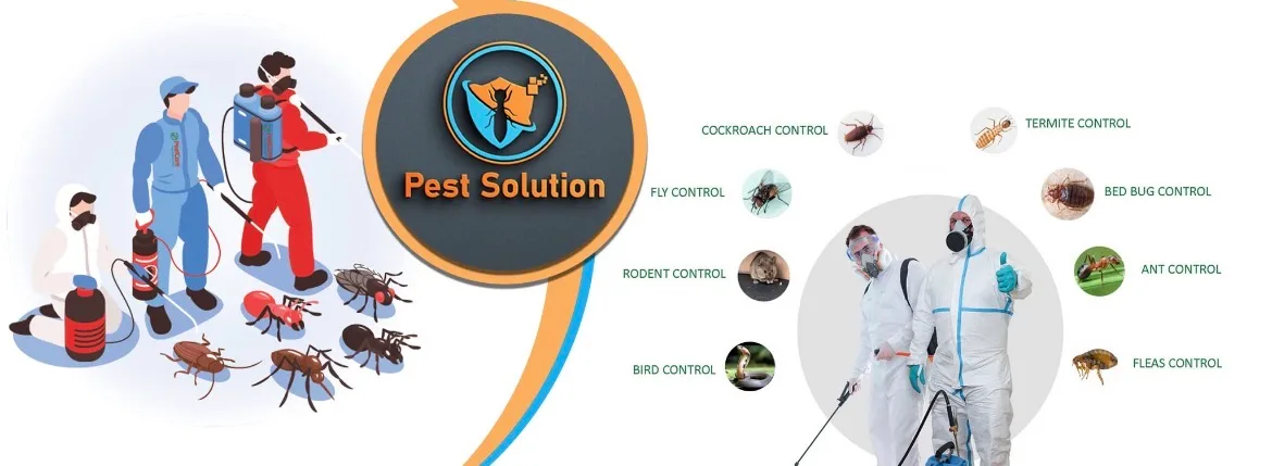 Pest Solution