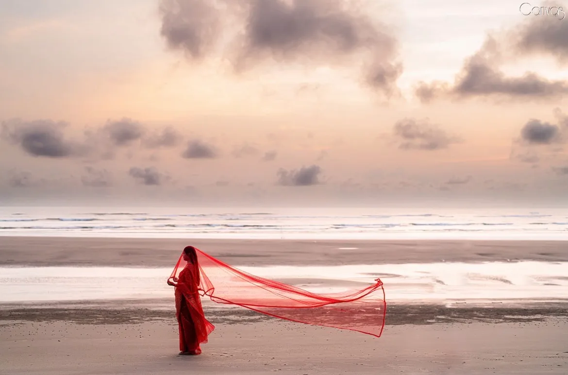 Canvas - ক্যানভাস