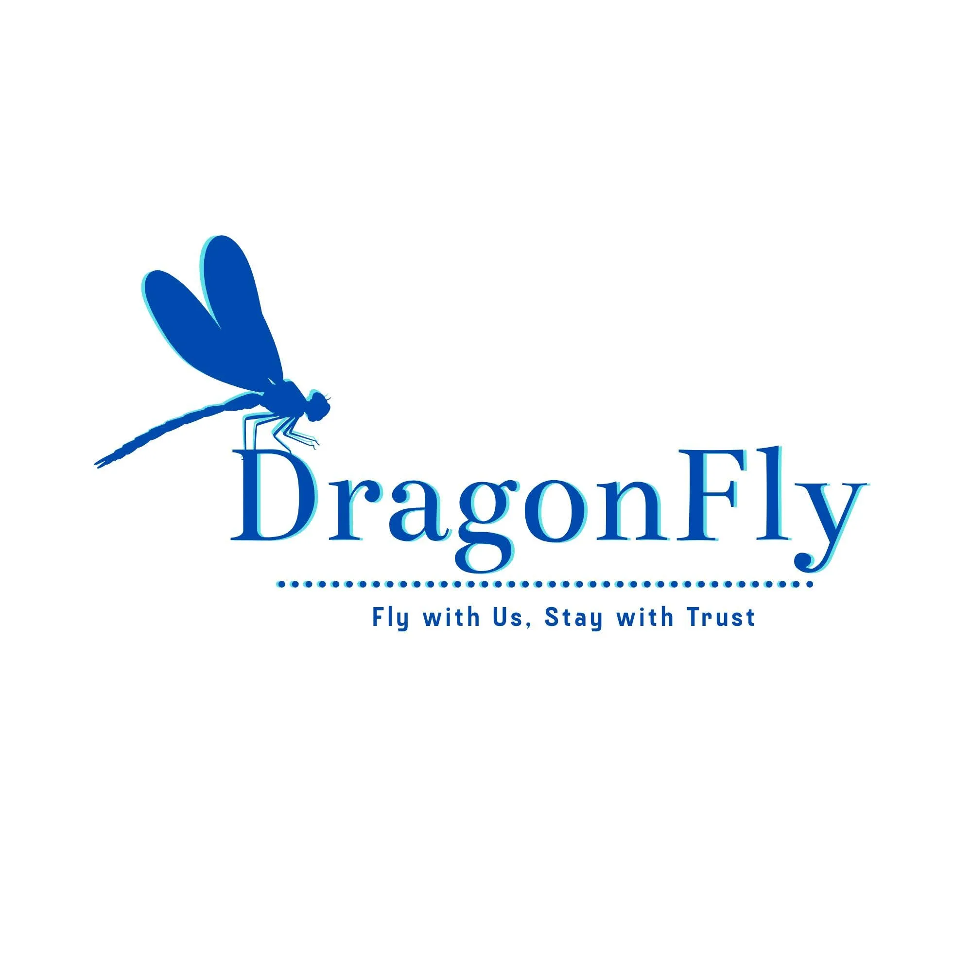 Dragonfly Tour & Travels
