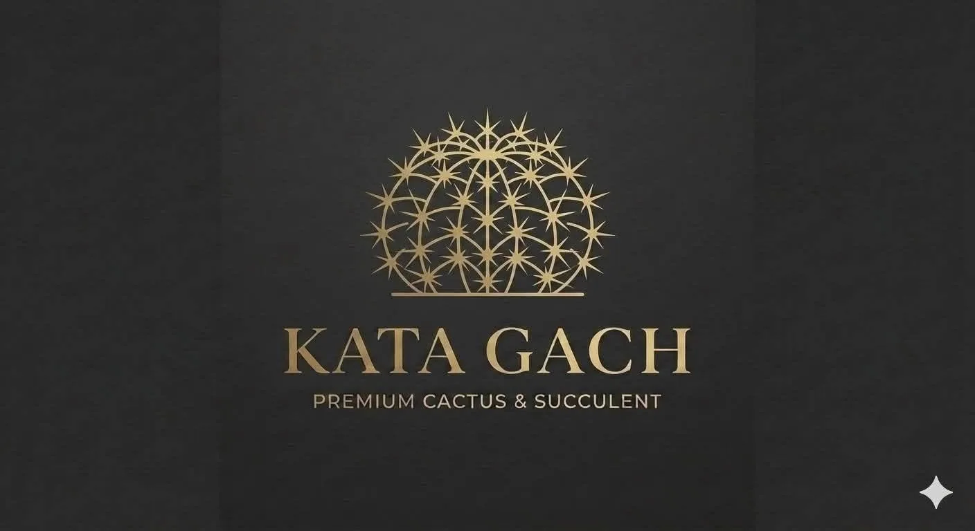 Kata Gash